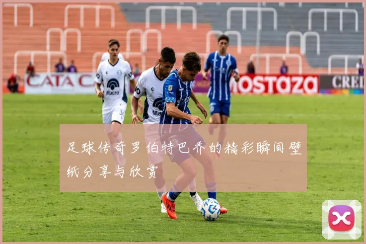 足球传奇罗伯特巴乔的精彩瞬间壁纸分享与欣赏