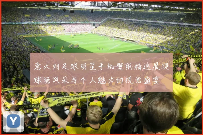 意大利足球明星手机壁纸精选展现球场风采与个人魅力的视觉盛宴