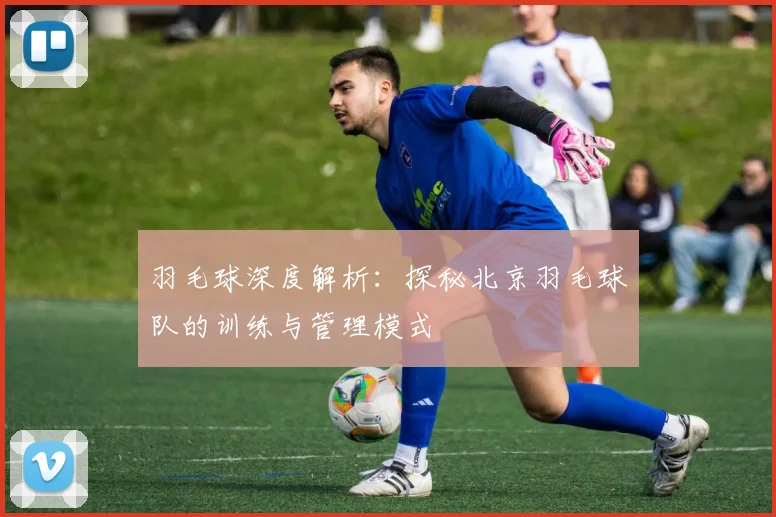 羽毛球深度解析：探秘北京羽毛球队的训练与管理模式