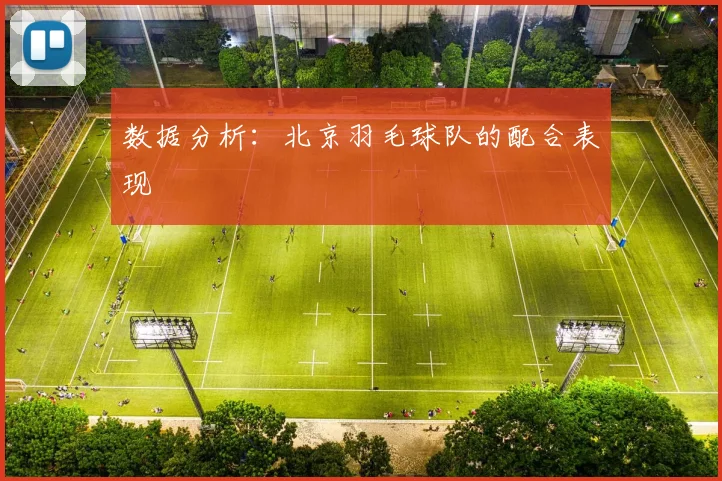 数据分析：北京羽毛球队的配合表现