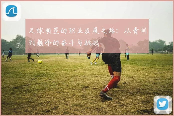 足球明星的职业发展之路：从青训到巅峰的奋斗与挑战