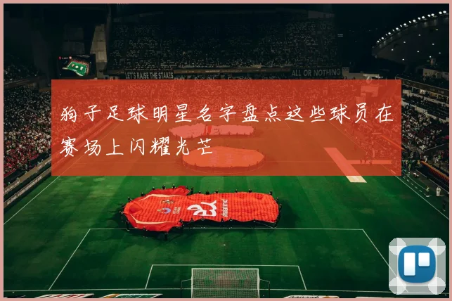狗子足球明星名字盘点这些球员在赛场上闪耀光芒