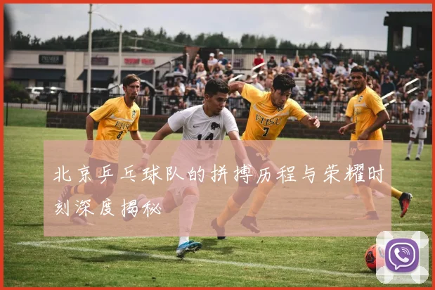 北京乒乓球队的拼搏历程与荣耀时刻深度揭秘