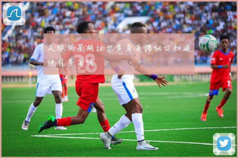 足球明星纳拉尔多身高揭秘你知道他有多高吗