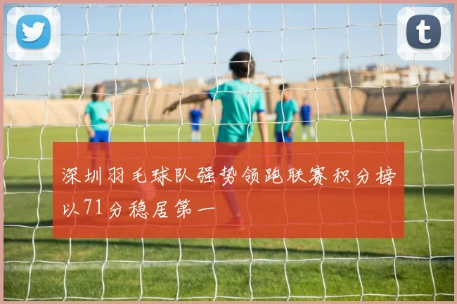 深圳羽毛球队强势领跑联赛积分榜以71分稳居第一