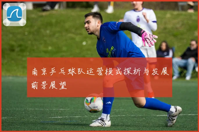 南京乒乓球队运营模式探析与发展前景展望