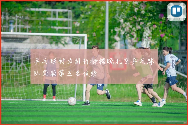 乒乓球耐力排行榜揭晓北京乒乓球队荣获第五名佳绩